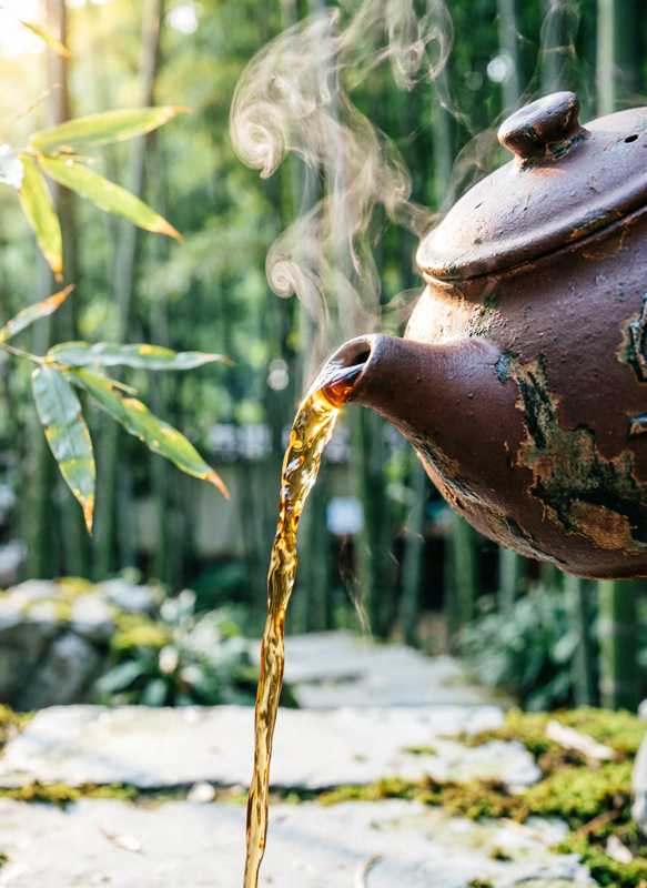 长宁茶友五星好评·老枞水仙深品记特写